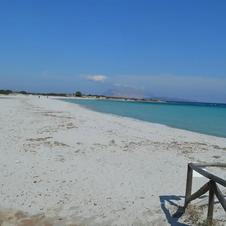 Ollias * San Teodoro (Sardinia)