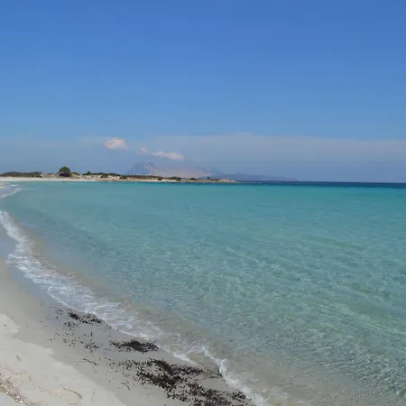 Ollias Daire San Teodoro (Sardinia)